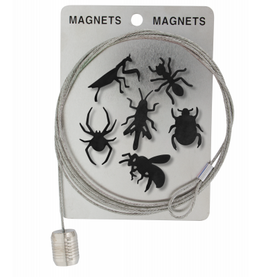 Câble porte photos et magnets - Magnetic Cable Insecte Noir